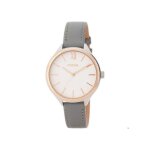 Montre femme - fossil - bq3129 - cuir gris 14 mm - bo�tier 36 mm - �tanche 5 atm