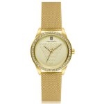 Montre - marc malone - cae - 3418 - acier inoxydable - couleur dor - 36 mm