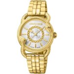 Montre - roberto cavalli by franck muller - rv1l126m1031 - quartz - acier inoxydable - 34 mm Montre - roberto cavalli by franck muller - rv1l126m1031 - quartz - acier inoxydable - 34 mm
