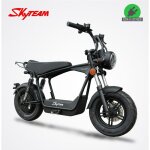 Moto lectrique dax e - wat 1200w skyteam / noir