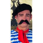 Moustache frenchy - boland - accessoire de dguisement - auto - adhsive