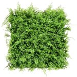 Mur vgtal artificiel - fern - 50 x 50 cm - dcoration murale - intrieur / extrieur - aspect naturel ...