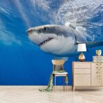 Murale salon 300x210 cm requin blanc cassé animal 3d papier peint mural poster enfant chambre garcon ... Murale salon 300x210 cm requin blanc cassé animal 3d papier peint mural poster enfant chambre garcon ...