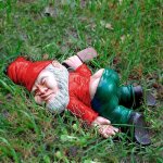 Nain de jardin - impermabiliser - ivre drle - rsine - 18x13x6cm - dcoration exterieur