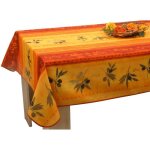 Nappe anti - tache rectangulaire olivo - trait�e d�perlant et anti - tache - 300 cm