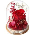 Rose eternelle sous cloche - naturelle - rouge - cadeau pour femmes - saint - valentin fête des mères ... Rose eternelle sous cloche - naturelle - rouge - cadeau pour femmes - saint - valentin fête des mères ...