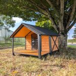 Niche chien american staff armature en acier et terrasse couverte taille l