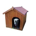 Niche � chien toit bitum� bipente 117m� - pour petits chiens