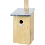 Nichoir observatoire msanges bleues