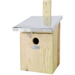 Nichoir pour oiseaux msanges