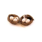 Nid avec oiseau 2 �ufs 6cm nature beige ivoire cr�me �cru naturel taupe