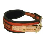Collier - niggeloh - chien de sang - orange fluo - taille moyen - ind�formable