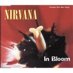 Nirvana ?maxi cd in bloom - europe (ex + / ex + ).