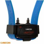 Numaxes - collier seul canicom - sangle bleue