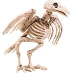 Oiseau corbeau squelette dcoration de halloween prop