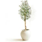 Olivier artificiel - lunsy - 150 cm - deux troncs - feuilles ovales vertes - olives violettes - pot blanc ...