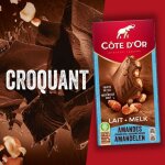 Tablette lait amandes caramlises pointe de sel 180gr cte dor x2