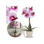 Orchid�e artificielle orchid�e blanche et rose en pot comme vivante fleur d�corative premium 30 cm