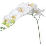 Orchid�e artificielle fleurs dorchid�e de simulation vives bouquet de toucher r�el pour la d�coration ...