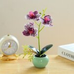 Orchidee artificielle en pot fleur artificiel phalaenopsis plastique bonsaï deco orchidee décoration ... Orchidee artificielle en pot fleur artificiel phalaenopsis plastique bonsaï deco orchidee décoration ...