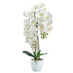 Orchidée plante artificielle en pot de dixie store imite vraie plante 4 branches nombreuses fleurs hauteur ... Orchidée plante artificielle en pot de dixie store imite vraie plante 4 branches nombreuses fleurs hauteur ...
