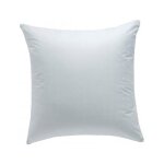 Oreiller - palladium - 65x65cm - naturel - confort ferme - plumettes et duvet de canard Oreiller - palladium - 65x65cm - naturel - confort ferme - plumettes et duvet de canard
