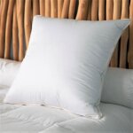Oreiller naturel duvet 60x60 cm - castex couettes naturelles - carré - blanc - chambre Oreiller naturel duvet 60x60 cm - castex couettes naturelles - carré - blanc - chambre