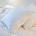 Oreiller naturel plumes plat 65x65 cm - castex couettes naturelles - carré - duvet de canard - blanc Oreiller naturel plumes plat 65x65 cm - castex couettes naturelles - carré - duvet de canard - blanc