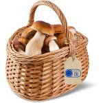Panier - creative home - osier champignons - osier naturel tress� main - ficelles amovibles lavables ...