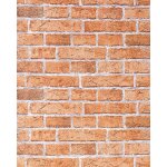 Papier peint design vintage rustique edem 583 - 23 aspect mur de briques bricks brix terre cuite.