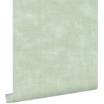 Papier peint effet b�ton vert clair - 053 x 1005 m - estahome - chambre - floral et v�g�tal