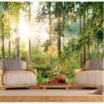 Papier peint intiss� 300x210 cm d�coration murale xxl poster tableaux muraux tapisserie photo - paysage ...