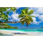 Papier peint photo intiss� - (16019) - plage de palmiers tropicaux - 250x186cm - 5 l�s - mural poster ...