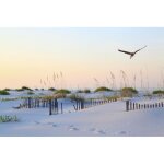 Papier peint photo intissé - (181288) - plage sable floride - 350x260 cm - 7 lés - mural poster géant ... Papier peint photo intissé - (181288) - plage sable floride - 350x260 cm - 7 lés - mural poster géant ...