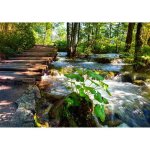 Papier peint photo intiss� - (184338) - pont � vapeur deau de for�t - 350x260cm - 7 l�s - mural poster ...