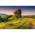 Papier peint photo intiss� - (205249) - champ paysage campagne - 300x223cm - 6 l�s - mural poster g�ant ...