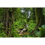 Papier peint photo intiss� - (205295) - flux deau de la jungle - 300x223cm - 6 l�s - mural poster g�ant ...