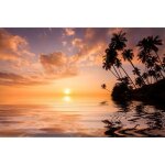 Papier peint photo intiss - (205311) - plage de palmiers - 300x223cm - 6 ls - mural poster gant