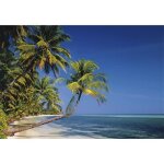 Papier peint photo intiss� - (220v) palm plage - 350x260cm - 7 l�s - mural poster g�ant xxl - mer beach ...