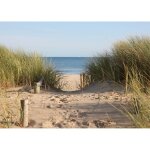 Papier peint photo intiss� - (22460) - plage de sable - 500x280 cm - 10 l�s - mural poster g�ant xxl ...