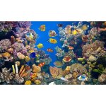 Papier peint photo intiss� - (225097) - vie sous - marine - 500x280 cm - 10 l�s - mural poster g�ant ...