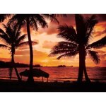 Papier peint photo intissé - (305v) plage de palmiers - 350x260cm - 7 lés - mural poster géant xxl - ... Papier peint photo intissé - (305v) plage de palmiers - 350x260cm - 7 lés - mural poster géant xxl - ...