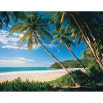 Papier peint photo intissé - (306v) plage de palmiers - 350x260cm - 7 lés - mural poster géant xxl - ... Papier peint photo intissé - (306v) plage de palmiers - 350x260cm - 7 lés - mural poster géant xxl - ...