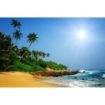 Papier peint photo intiss� - (69v) plage palmiers - 350x260cm - 7 l�s - mural poster g�ant xxl - mer ...