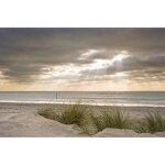 Papier peint photo intiss� - dune - (21539) - 400x260 cm - 8 l�s - mural poster g�ant xxl - panorama ...
