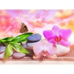 Papier peint photo intissé - zen et papillon - (185375) - 350x260cm - 7 lés - mural poster géant xxl ... Papier peint photo intissé - zen et papillon - (185375) - 350x260cm - 7 lés - mural poster géant xxl ...