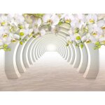 Papier peint photo murale intiss� (182066) tunnel orcide - 350x260cm - tapisserie fond d?�cran affiche ...