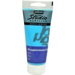 Pébéo peinture gel phosphorescent studio tube de 100 ml couleur bleu Pébéo peinture gel phosphorescent studio tube de 100 ml couleur bleu