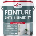 Peinture anti humidit mur humide salle de bain - arcascreen 2. 5 l (jusqu 10 m) -
