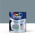 Peinture color resist cuisine & bains bleu gris 075 l